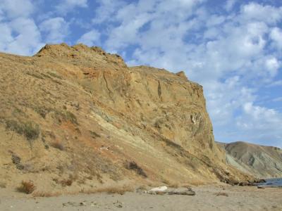 Прикрепленное изображение: DSCF6090.jpg